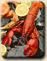 Lobster